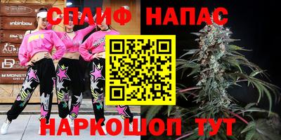 гашик Кунгур