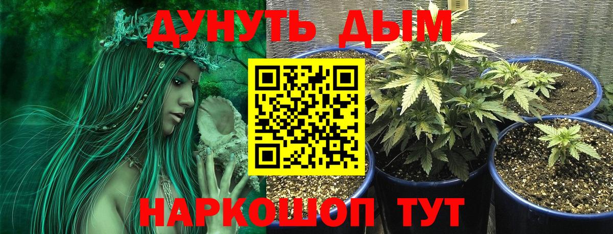 Канабис планчик Калуга